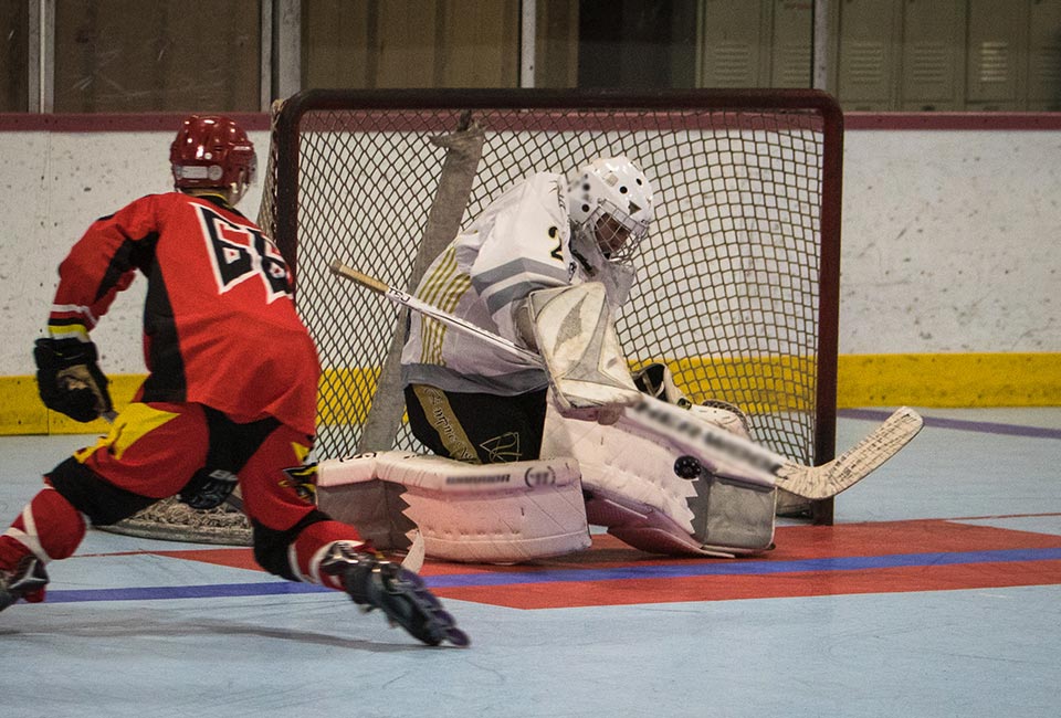 image of goalie making a save with Rollerflys
		